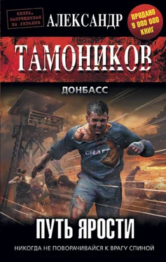 Александр Тамоников Путь ярости обложка книги