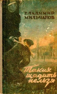 Владимир Мильчаков Таких щадить нельзя обложка книги