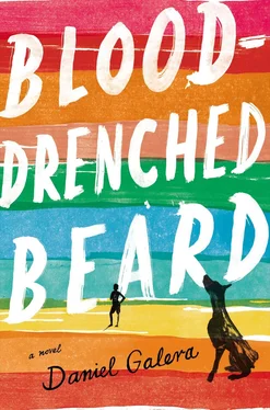 Daniel Galera Blood-drenched Beard обложка книги