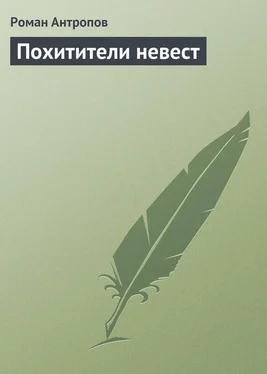 Роман Антропов Похитители невест обложка книги