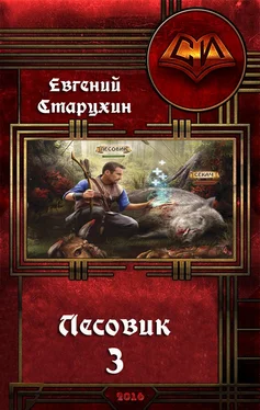 Евгений Старухин Лесовик-3 обложка книги