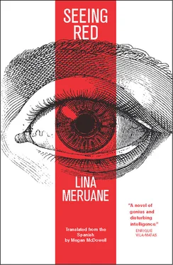 Lina Meruane Seeing Red обложка книги