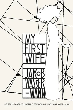 Jakob Wassermann My First Wife обложка книги