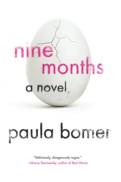 Paula Bomer Nine Months обложка книги