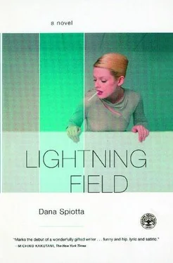 Dana Spiotta Lightning Field обложка книги