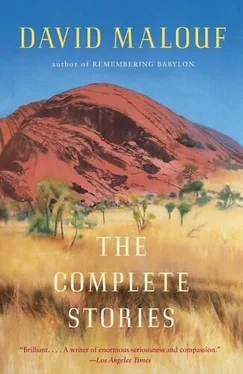 David Malouf The Complete Stories обложка книги