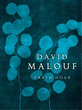 David Malouf Earth Hour обложка книги