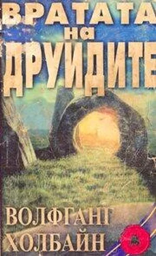 Волфганг Холбайн Вратата на друидите обложка книги