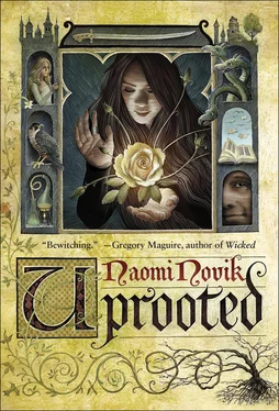 Naomi Novik Uprooted обложка книги