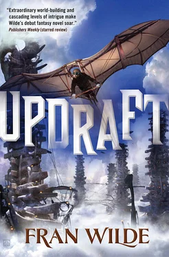 Fran Wilde Updraft обложка книги