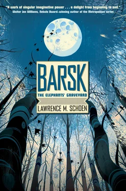 Lawrence Schoen Barsk: The Elephants' Graveyard обложка книги