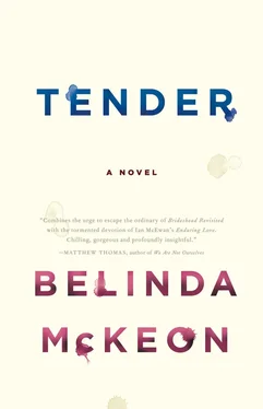 Belinda McKeon Tender обложка книги