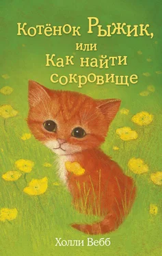 Холли Вебб Котёнок Рыжик, или Как найти сокровище обложка книги