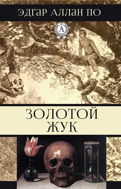 Эдгар Аллан По Золотой жук обложка книги