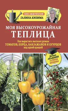 Галина Кизима Моя высокоурожайная теплица. Как вырастить высокие урожаи томатов, перца, баклажанов и огурцов под одной крышей обложка книги