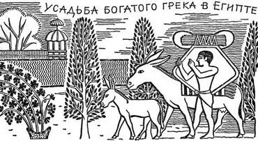 ДОМ УЧИТЕЛЯ Глухая стена и знакомая жёлтая калитка Рабфригиец молча - фото 22