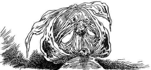 Однак же його слова влітали у вуха не менш глухі ніж його власні По - фото 96