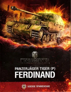 Юрий Бахурин Panzerjager Tiger (P) «Ferdinand» обложка книги