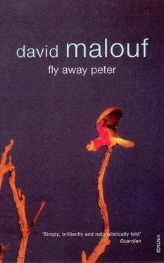 David Malouf Fly Away Peter обложка книги