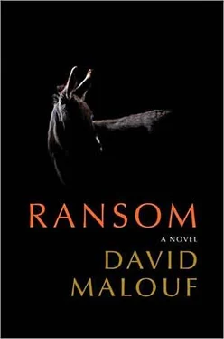 David Malouf Ransom обложка книги