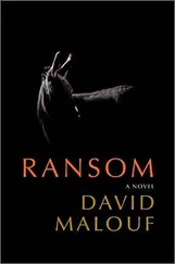 David Malouf - Ransom