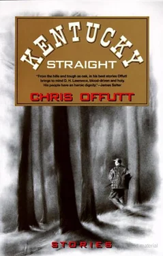 Chris Offutt Kentucky Straight: Stories обложка книги
