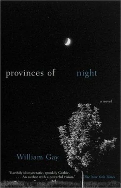 William Gay Provinces of Night обложка книги