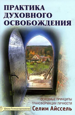 Селим Айссель Практика духовного освобождения. Основные принципы трансформации личности обложка книги