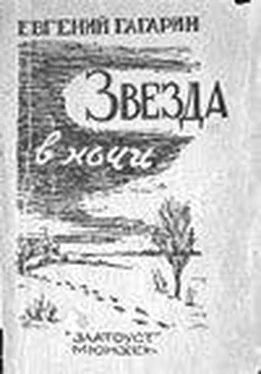 Евгений Гагарин Советский принц ; Корова обложка книги