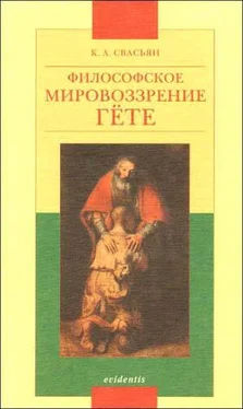 Карен Свасьян Философское мировоззрение Гёте обложка книги