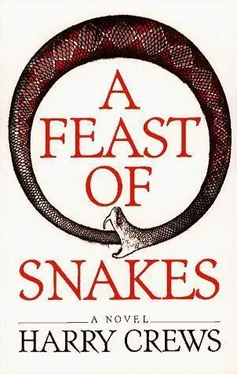 Harry Crews A Feast of Snakes обложка книги