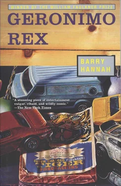 Barry Hannah Geronimo Rex обложка книги