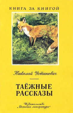 Николай Устинович Таёжные рассказы обложка книги