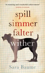 Sara Baume - Spill Simmer Falter Wither