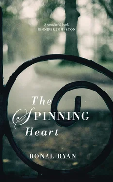 Donal Ryan The Spinning Heart обложка книги