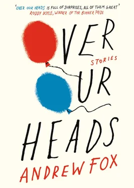 Andrew Fox Over Our Heads обложка книги