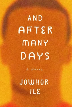 Jowhor Ile And After Many Days обложка книги