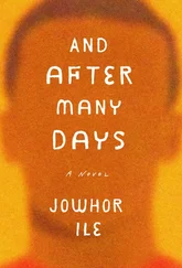 Jowhor Ile - And After Many Days