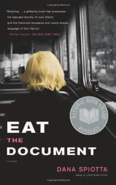 Dana Spiotta Eat the Document обложка книги