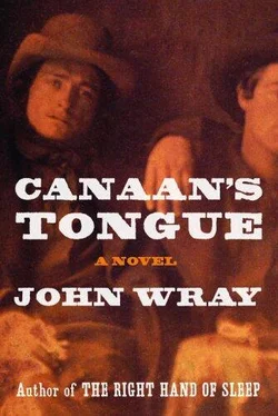 John Wray Canaan's Tongue обложка книги