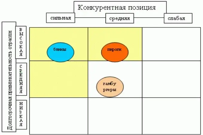 Рисунок 38 Матрица McKinsey для пункта быстрого питания Продукты попавшие в - фото 124