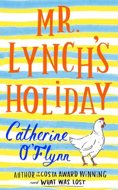 Catherine O’Flynn Mr Lynch’s Holiday обложка книги