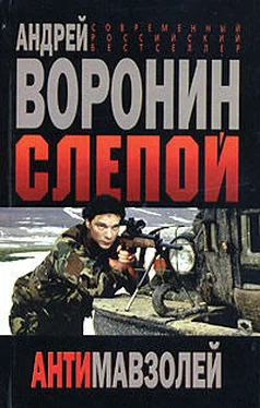 Андрей Воронин Антимавзолей обложка книги