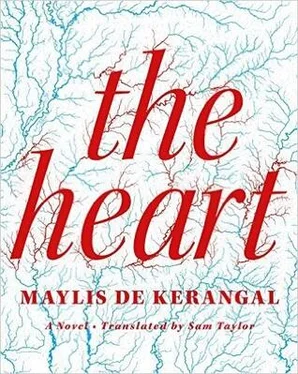 Maylis de Kerangal The Heart