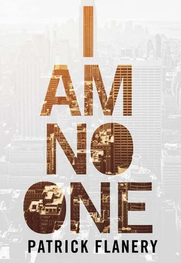 Patrick Flanery I Am No One обложка книги