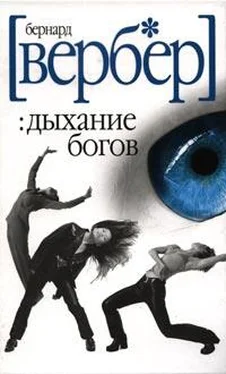 Бернард Вербер Дыхание богов обложка книги