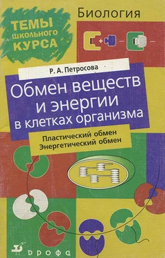 Рената Петросова Обмен веществ и энергии в клетках организма обложка книги