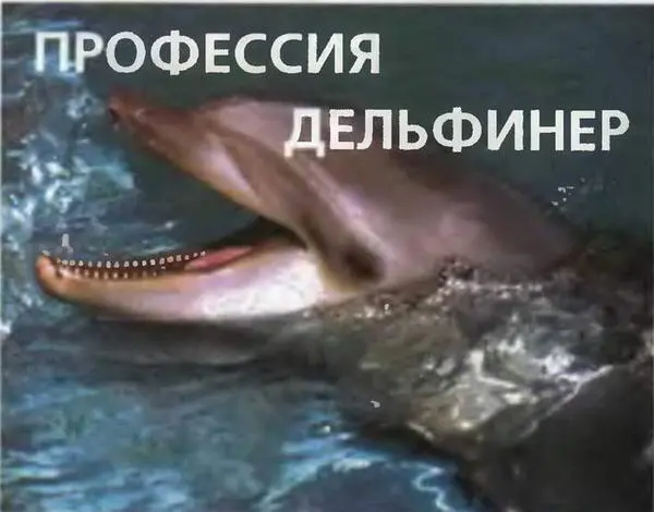 Утриш и Москва Доктор Лена и дельфин Паша Когда мы привезли дельфинов в Утриш - фото 10