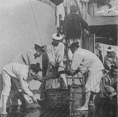 На броненосце Шарль Мартель во время занятий учений и работ 19081909 гг - фото 112