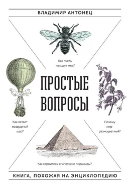 Владимир Антонец Простые вопросы. Книга, похожая на энциклопедию обложка книги